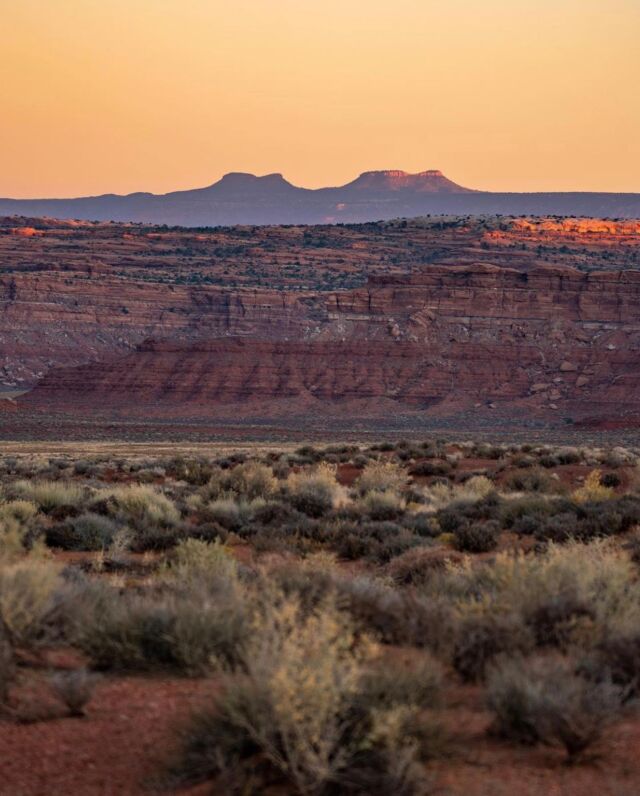 We’re over the moon to hear that both Bears Ears and Grand Staircase-Escalante have been restored as National Monuments! We also think that this is an important time to recognize that we wouldn’t be celebrating this victory today, if it weren’t for the tireless work of our Indigenous Nations, and their resistance, which recently has been credited with staving off 25% of U.S. and Canada’s annual emissions. 

We recognize that we can’t have effective climate solutions without Indigenous justice, which is why we’ll be focusing a significant portion of our @1percentftp monetary donations to Indigenous led organizations that are focused on #LandBack solutions. It’s also why our offices will be closed (as in past years) on Monday in support of Indigenous People’s Day.

📸: @noyekim 

#composednyc
.
.
.
.
#takeactiontuesday #protectourplanet #fightfor1point5 #WeAreBCorps #bthechange #businessforgood#sustainablebusiness #consciousconsumer #bcorp #bcorporation #betterbusiness #indegenouspeoplesday #bearsears #1percentfortheplanet