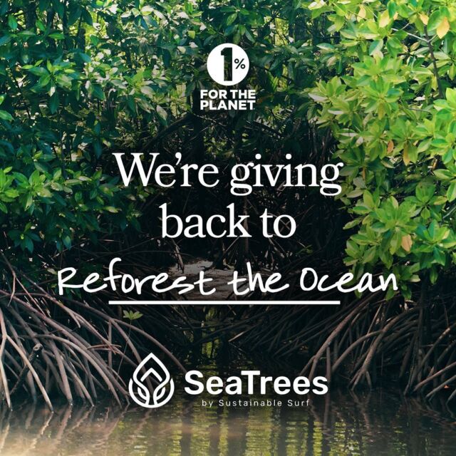 This #GivingTuesday we’re highlighting the amazing organizations that make up our giving portfolio as part of our 1% for the Planet commitment. 

As you look to give today, check out the nonprofit partners we’re committed to, and consider including them as part of your donations today: 

💙 @Sea.Trees focuses on ocean reforestation by employing local communities to plant mangroves, kelp, and coral in the areas that they’re native to 🌊 🌱

💙 @ProtectOurWinters helps passionate outdoors people protect the places and lifestyles they love, by advancing non-partisan policies to tackle climate change 🏔️

💙 @thehozhocenter is creating a self-sufficient community based on Diné values 🐏

💙 @nativeconservancy creates resilient futures for Native Peoples by revitalizing culture, habitat & spirituality 🦅

💙 @HarlemGrown plants fruits and veggies, growing healthy children and sustainable communities in Harlem 🌳

💙 @BioBus is dedicated to helping minority, female, and low-income students in NYC discover, explore, and pursue science! 🔬
.
.
.
.
.
#bthechange #protectourwinters #optoutside #protectourplanet #businessforgood #sustainablebusiness #bcorporation #harlemgrown #landback #seatrees #onepercentfortheplanet
