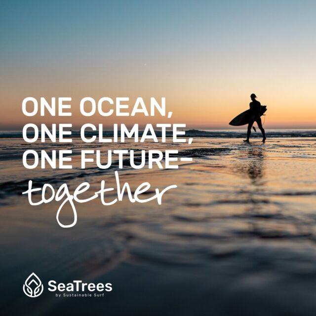 We’re stoked to celebrate World Oceans Day today and every day! First declared in 1992, this global conservation initiative unites and rallies the world to protect and restore our amazing ocean 🌊 

In addition we’ve committed to being Ocean Positive+ by reforesting enough costal ecosystems to capture and sequester more carbon out of the air than our team produces each year through our partner @sea.trees 
#WorldOceansDay #OceanPositive 
#composednyc #dobetterbusiness #businessforgood 
.
.
.
.
.
#bcorporation #sustainablebusiness #seatrees #onepercentfortheplanet #bcorp #1percentfortheplanet #1percentftp #OceanMonth2022 #30DaysofOcean #NationalOceanMonth #betterbusiness #businessforgood #BusinessForClimateJustice